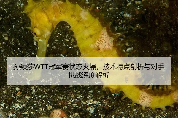 sun-ying-sha-guan-jun-sai-zhuang-tai-huo-bao-ji-shu-te-dian-pou-xi-yu-dui-shou-tiao-zhan-shen-du-jie-xi-3-701.jpg