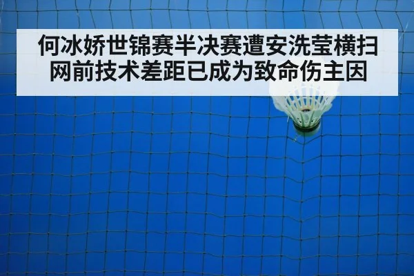 badminton net play